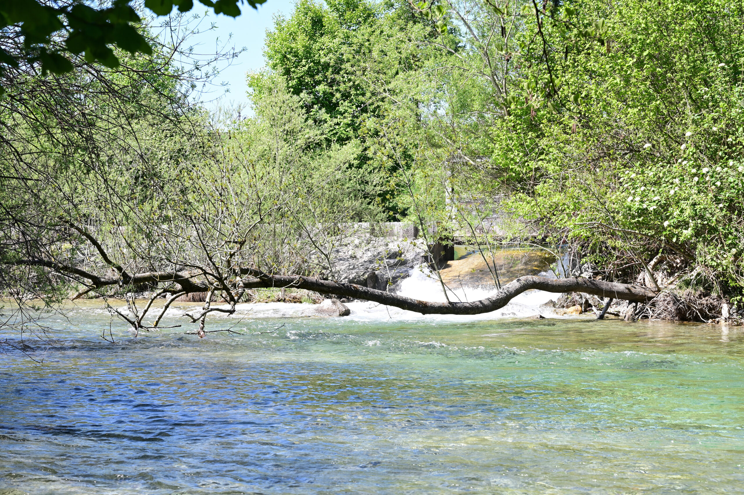 Natur und fließendes Wasser